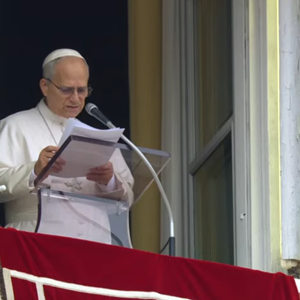 Papin Angelus u nedjelju 18. siječnja